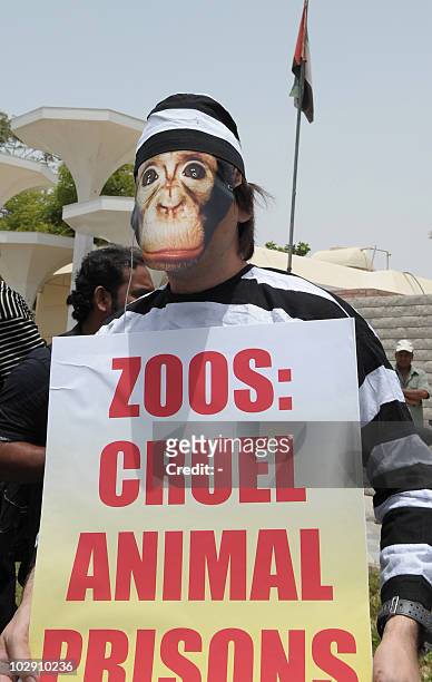 An activist of the People for the Ethical Treatment of Animals , wearing a prison suit and a monkey mask, holds a placard outside the Dubai Zoo on...