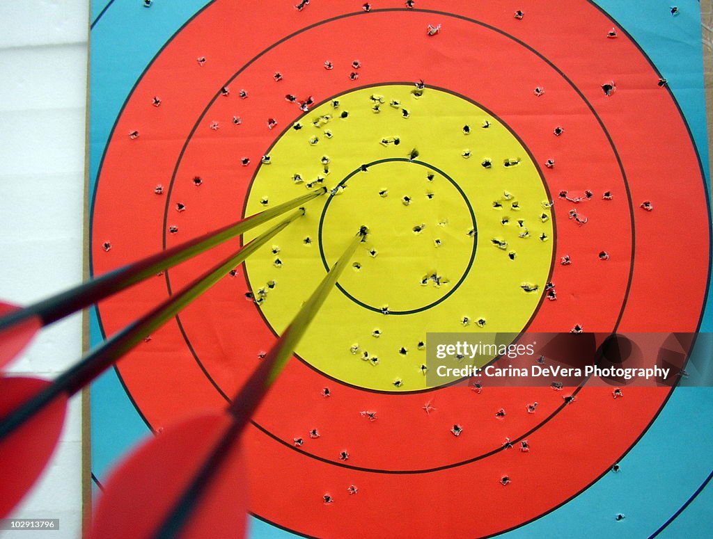 Archery Target and Arrows