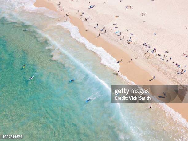 aerial view of surfers and people at bondi beach australia - gold coast australia beach stock pictures, royalty-free photos & images