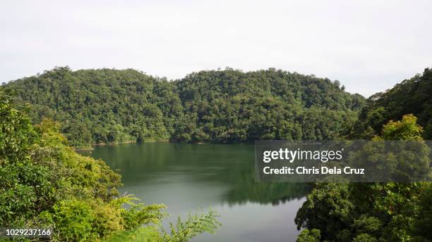 lush forest mountain in twin lakes, dumaguete, philippines - negros oriental stock-fotos und bilder