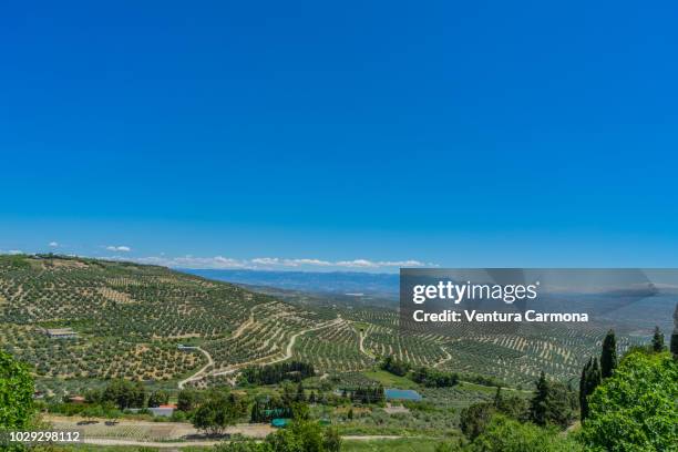 andalusian countryside near úbeda, spain - cazorla stock pictures, royalty-free photos & images