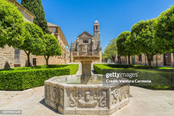 renaissance fountain in úbeda, spain - jaén city stock pictures, royalty-free photos & images