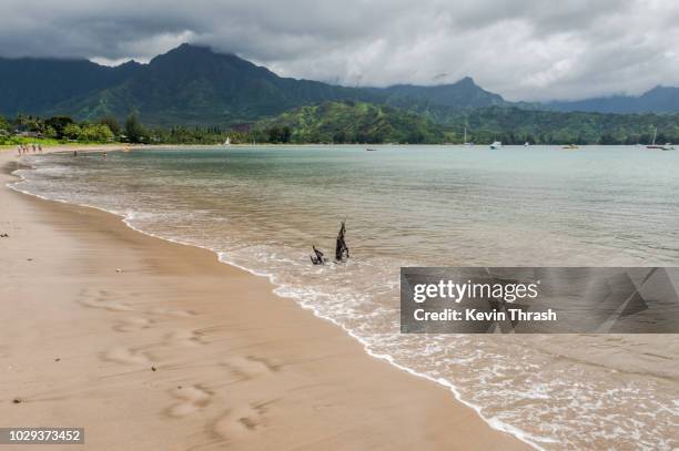 hanalei beach, kauai, hawaii - hanalei stock pictures, royalty-free photos & images