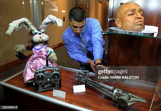 Terrminator Rabbit Pictures and Photos - Getty Images