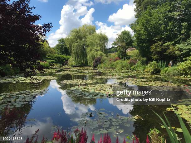 claude monet's garden at giverny - giverny stock pictures, royalty-free photos & images