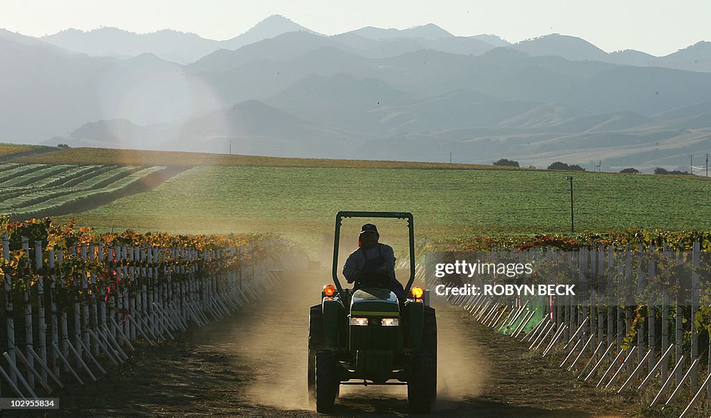 A farm worker drives a tractor through t