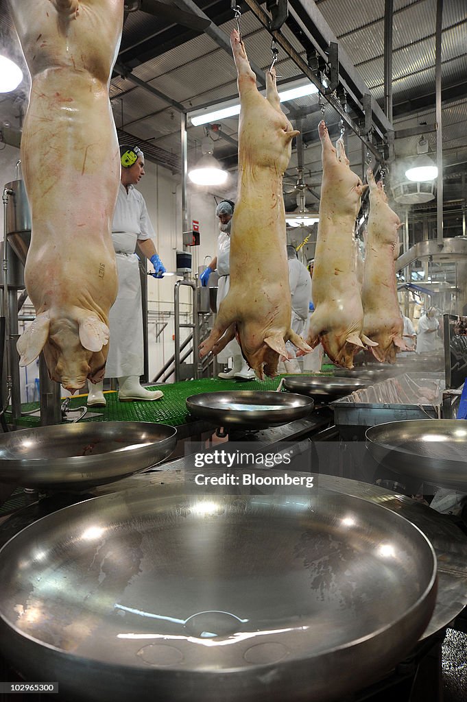 Pigs awaiting evisceration, the removal of intestines, hang from a... News  Photo - Getty Images