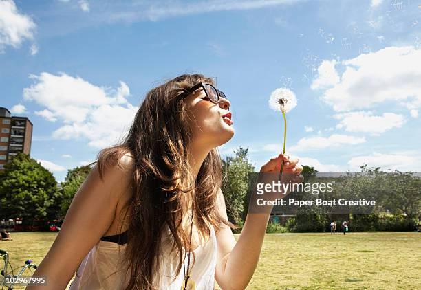 young woman blowing away the dandelion seeds - fluke stock pictures, royalty-free photos & images