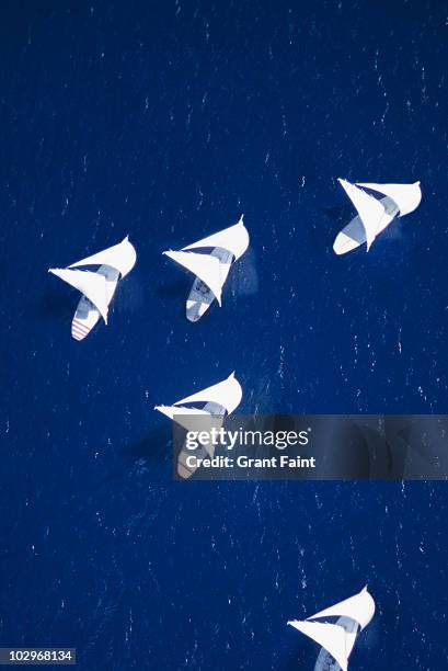 sailboats racing. - championship day five stock pictures, royalty-free photos & images