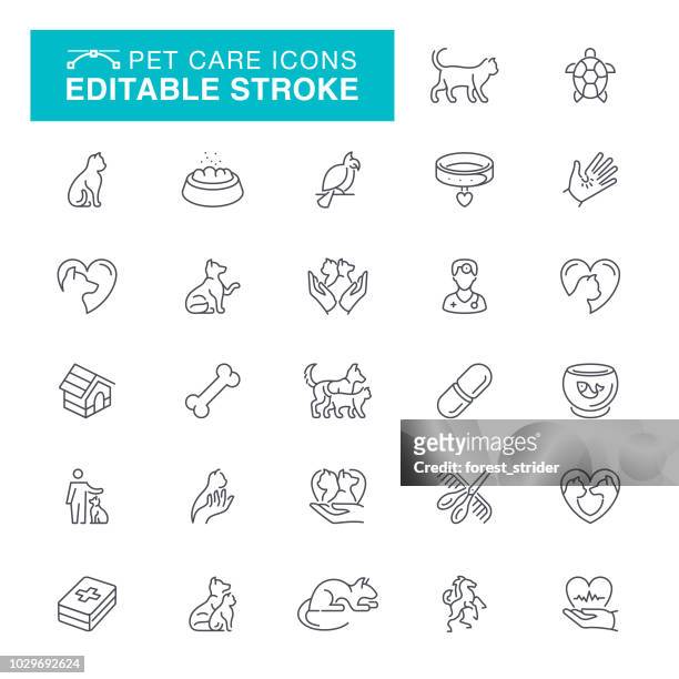 pet care editable line icons - pet equipment stock illustrations
