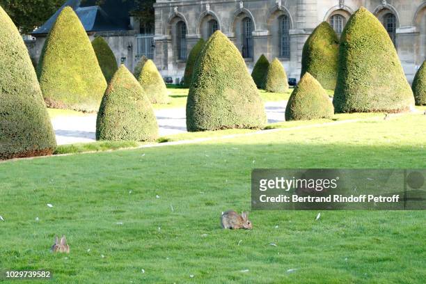 Illustration view of those "Invalies Rabbits" during the Triumph of "Carmen - Opera en Plein Air" performance at the Invalides during 4 evenings full...