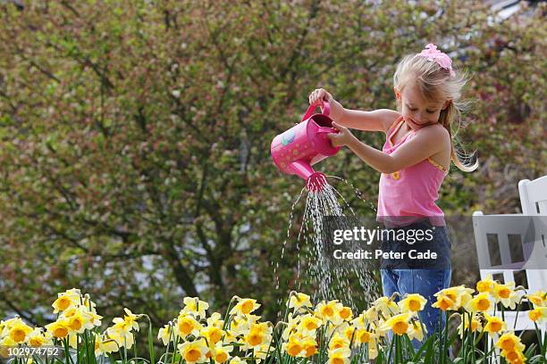 child watering flowers - daffodil ストックフォトと画像