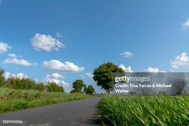 view of country road of schleswig holstein in germany. - feldweg sommer stock pictures, royalty-free photos & images