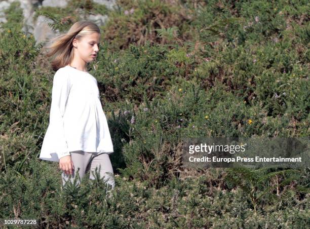 Princess Leonor of Spain attends the Centenary of the creation of the National Park of Covadonga's Mountain and the opening of the Princess of...