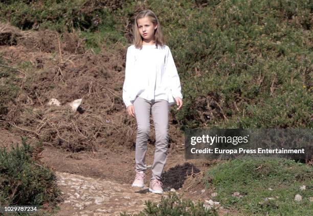 Princess Leonor of Spain attends the Centenary of the creation of the National Park of Covadonga's Mountain and the opening of the Princess of...
