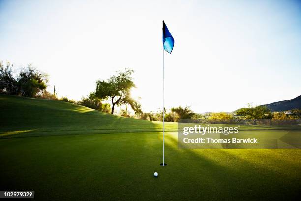 golf ball next to flag on putting green - green golf course stock pictures, royalty-free photos & images