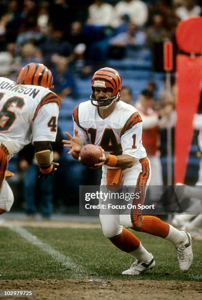 Quarterback Ken Anderson of the Cincinnati Bengals turns to hand the ball off to running back Pete Johnson circa 1981 during an NFL football game....