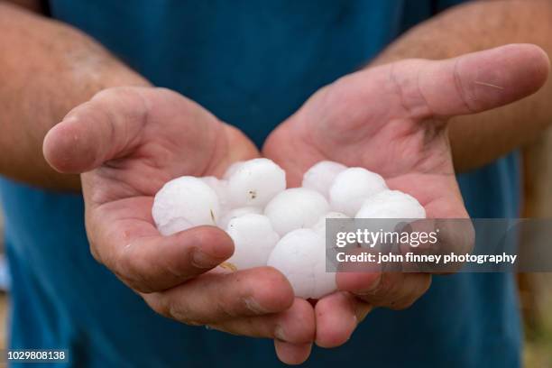lange hail being held in hands, colorado, usa - hagelkorn stock-fotos und bilder