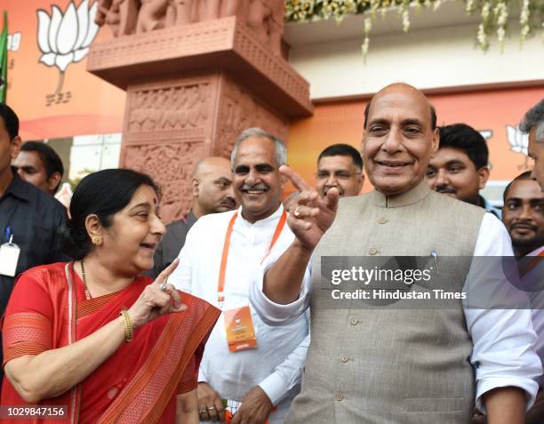 Home Minister Rajnath Singh and External Affairs Minister Sushma Swaraj leave after BJP National Executive Meeting at Ambedkar Bhawan, on September...