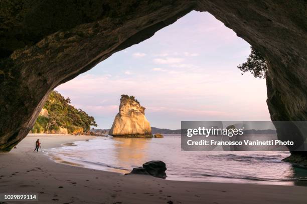 photographer at catheral cove at sunrise. - cathedral cove stock pictures, royalty-free photos & images