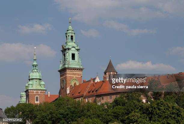 wawel cathedral - wawel cathedral stock pictures, royalty-free photos & images