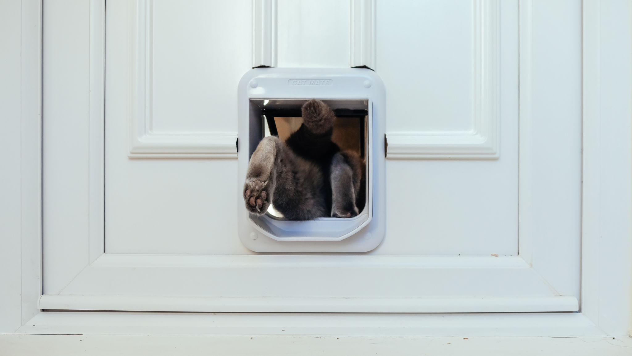 doggy door flap replacement