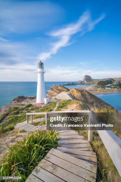 castlepoint lighthouse, new zealand. - wellington nieuw zeeland stockfoto's en -beelden