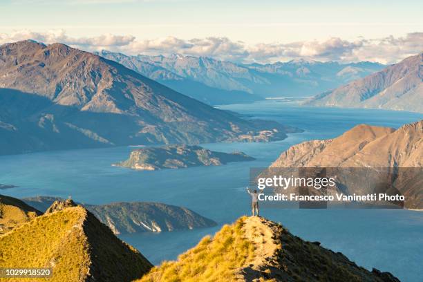 man on roys peak, new zealand. - new zealand people stock pictures, royalty-free photos & images