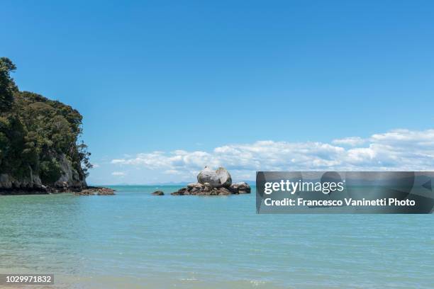 split apple rock, new zealand. - kaiteriteri stock pictures, royalty-free photos & images