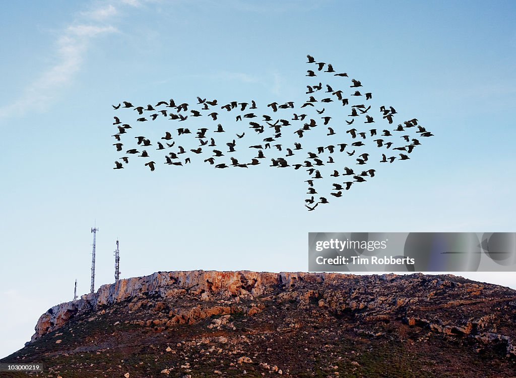 Birds flying in arrow formation above aerials.