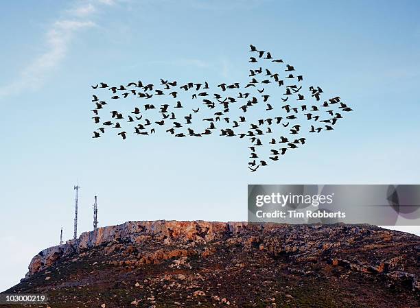 birds flying in arrow formation above aerials. - same direction stock pictures, royalty-free photos & images