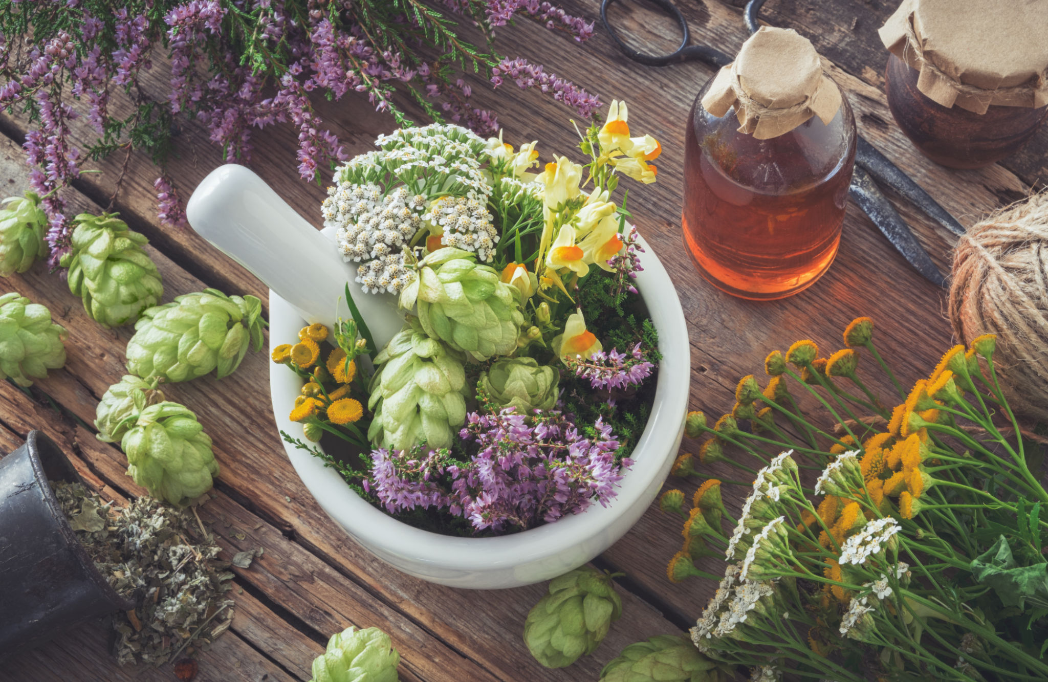 herbal plants