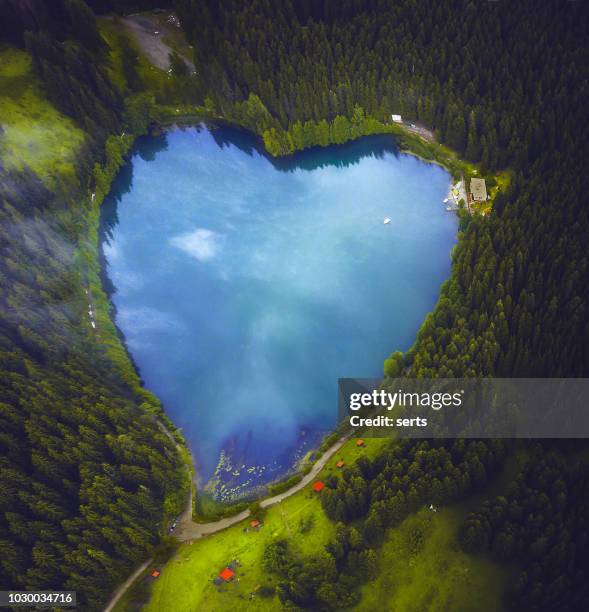 beautiful heart shaped lake and forest - travel destinations sign stock pictures, royalty-free photos & images