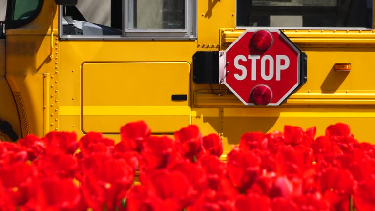 Bus Shaking 21 School Bus Zone Stock Videos, Footage, & 4K Video Clips - Getty Images