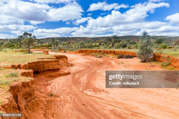 dry river bed - drought stock pictures, royalty-free photos & images