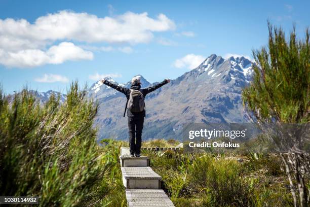 woman walking on footpath at key summit lookout trail - new zealand forest stock pictures, royalty-free photos & images