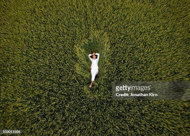 aerial of woman in wheat field - evasión fotografías e imágenes de stock