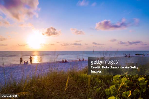 landscape view of the naples beach with quiet ocean, west florida - naples florida stock pictures, royalty-free photos & images