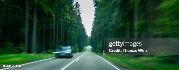 driving through a forest at high speed - fast approaching stock pictures, royalty-free photos & images
