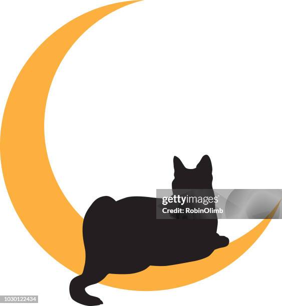 black cat lying on gold moon icon - black spirituality stock illustrations