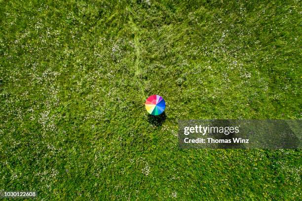 person under colorful umbrella in a field - wiese von oben stock-fotos und bilder