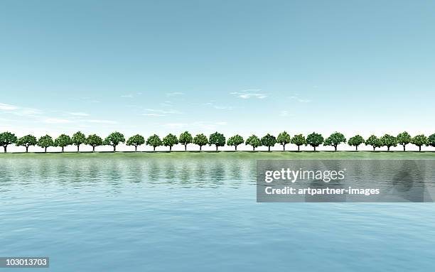 green trees on a riverbank - treelined stock pictures, royalty-free photos & images