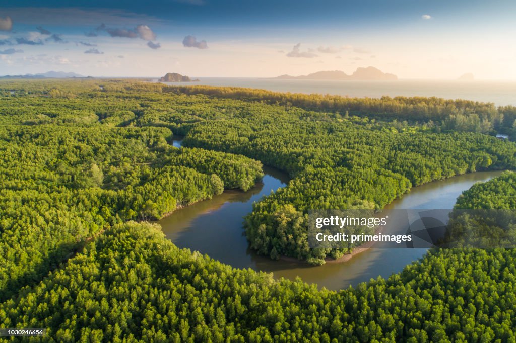 Aerial view shot tropical beach sea with long tail boat in south thailand