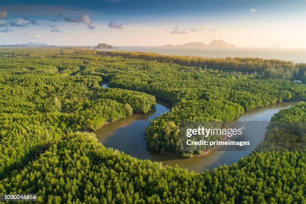 aerial view shot tropical beach sea with long tail boat in south thailand - província de krabi imagens e fotografias de stock