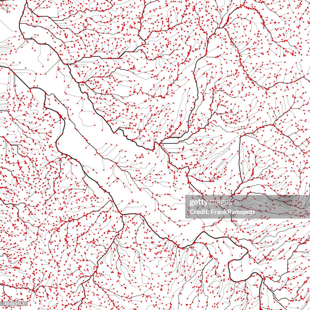 Salinas Black Red Abstract Stream Channel Network