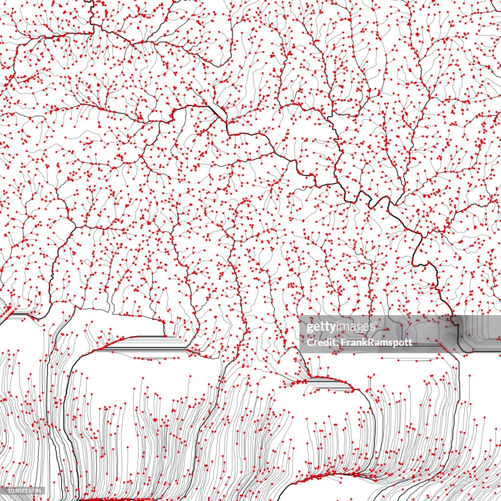 Malibu Black Red Abstract Stream Channel Network