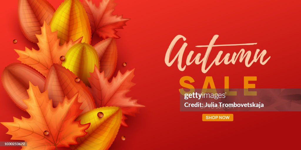 Fall Deal Background Autumn Sale Background With Colorful Leaves High-Res Vector Graphic ...