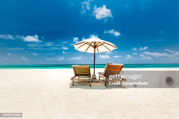 amazing scenery, relaxing beach, tropical landscape background. summer vacation travel holiday design. luxury travel destination concept. beach nature, travelling tourism banner - wetterfester stuhl stock-fotos und bilder