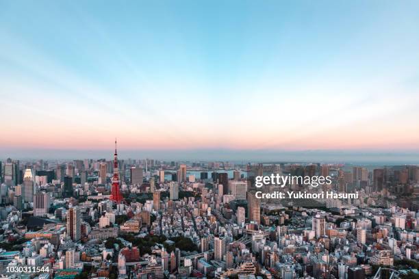 tokyo skyline at dusk - barrio de minato fotografías e imágenes de stock