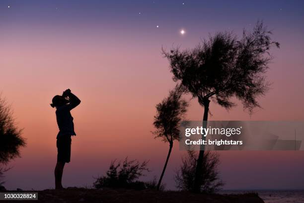 a man observing the night sky - looking up at stars stock pictures, royalty-free photos & images